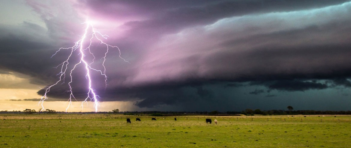 Daily Local Weather Outlook